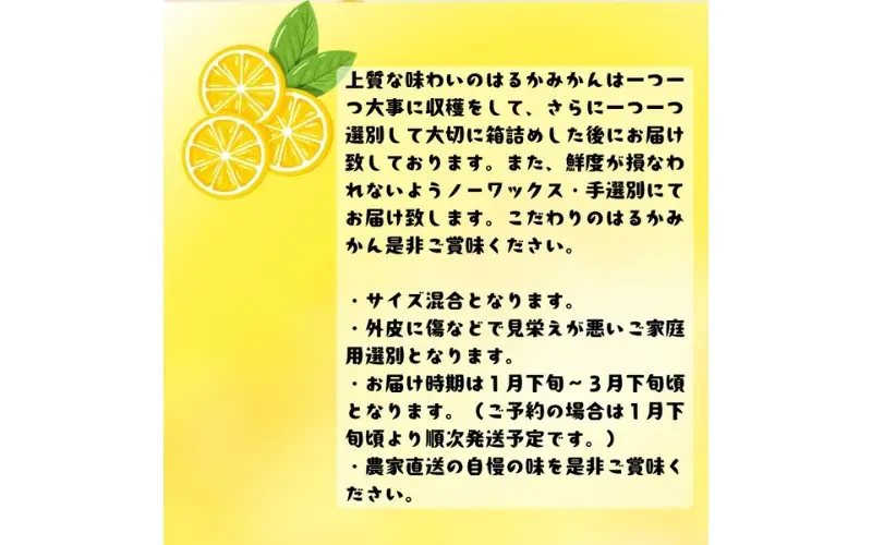 【先行予約】【人気柑橘】 有田育ちの はるか みかん（訳あり 家庭用）約5kg+200g(傷み補償分) ※2027年1月下旬～3月下旬に順次発送 ※着日指定不可【ard156B】