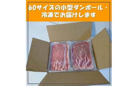 豚ロース 3種セット 1.1kg 豚ロース