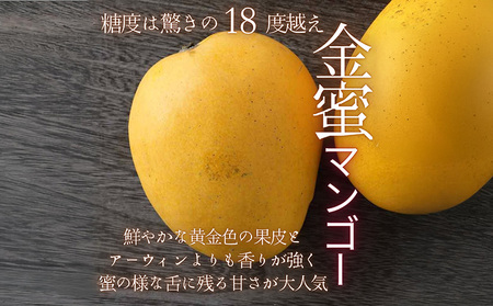 【2026年 先行予約 数量限定】金蜜マンゴー 家庭用 2kg以上 家庭用 先行予約 沖縄 甘味 糖度 濃厚 おいしい お土産 まんごー きんみつ ギフト プレゼント 果実 くだもの 果物 ふるさと納税 送料無料 トロピカル 名護市 フルーツ