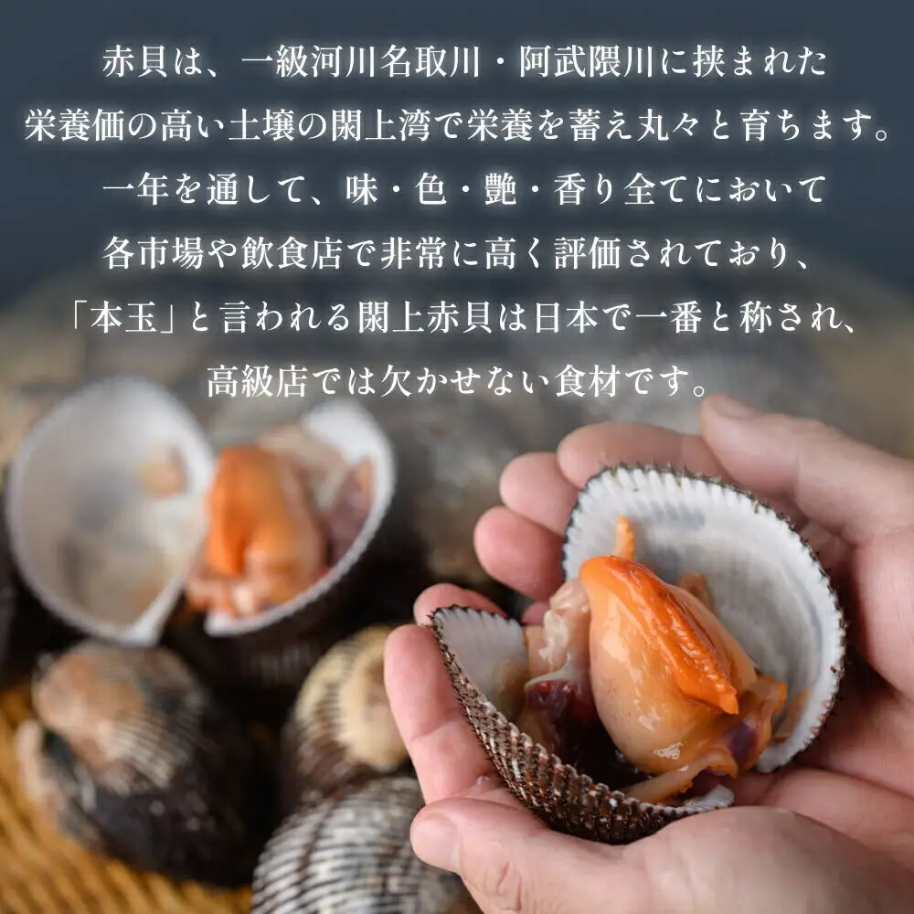 【 漁亭 浜や 】 日本一と称される 閖上 赤貝のなめろう 100g 高級食材 海鮮 魚介類 貝