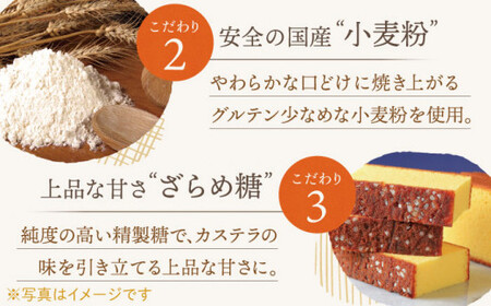 【全12回定期便】「こだわりの逸品」長崎 カステラ  [1.2号] 計24本（0.6号10切入×2本入/回）【文明堂総本店】[QAU022]