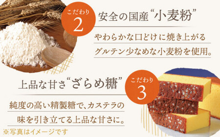 【全12回定期便】「こだわりの逸品」長崎カステラ［2号] 計24本（1号10切入×2本入/回）【文明堂総本店】[QAU025]
