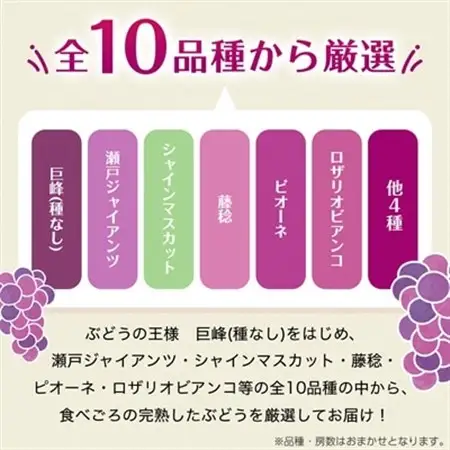 【2026年・発送】朝どり完熟ぶどうの詰め合わせ_果物・フルーツ ぶどう・マスカット  ブドウ 葡萄 _【配送不可地域：離島・沖縄県】【1017700】