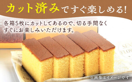 カステラ ざんまい 5枚カット×2箱 (ハニー×2)【菓秀苑 森長】[QBL005] 長崎カステラ おやつ 九州 長崎 佐々町 ふるさと納税 おすすめ