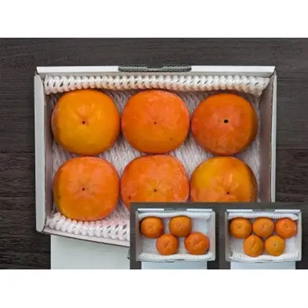 【先行予約】匠果樹園 富有柿【訳あり】約1.5kg 6～4玉【2026年11月～12月発送】_果物・フルーツ 柿（カキ）  かき_【1473452】