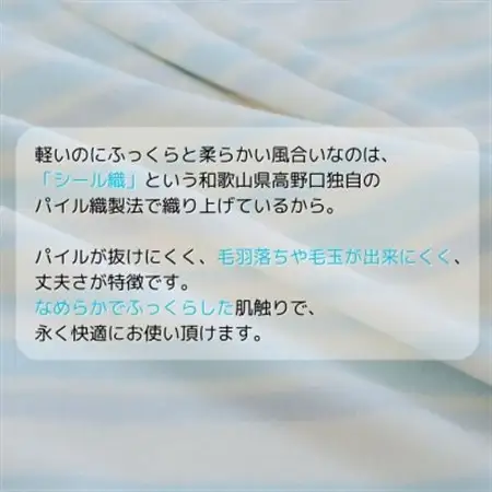 ふんわり軽くてあったかい　“karu-ket“　アイスブルー_雑貨・日用品 毛布 寝具 _【1486526】