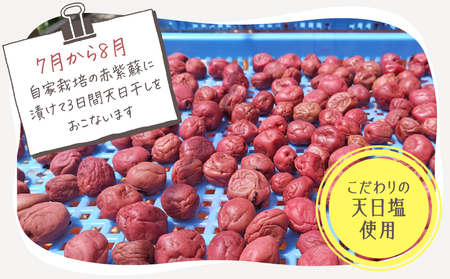 2404 昔ながらの しょっぱい おおすみ 百年 梅干 600g （ 100g×6袋 ） 塩分20% 小分け KN093-001-02 