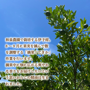 いよかん 精油3ml &アロマウッドセット 『 IYOKAN-摘果- 』| 伊予柑 精油 いよかん 精油 アロマオイル 精油 エッセンシャルオイル アロマウッド アロマ 精油 愛媛県 松山市 和泉農園【IZ1001】