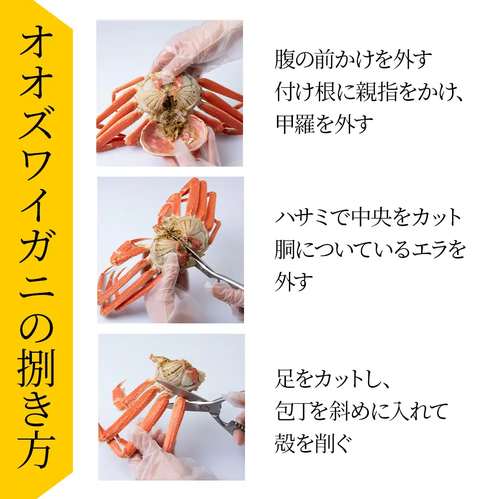 【7営業日以内発送】訳あり オオズワイガニオス 中サイズ (約200-350g) 浜ゆで 2kg (6～10尾入) AS176