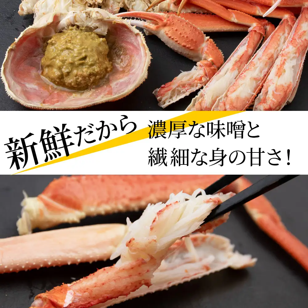 訳あり オオズワイガニオス 小サイズ (約100-250ｇ) 浜ゆで 2kg (8～20尾入) AS177