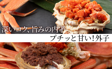訳あり オオズワイガニメス (約100-200g前後)  浜ゆで 2kg (10～20尾入) AS174
