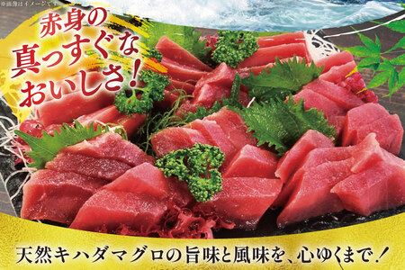 マグロ 天然 まぐろ 赤身 サク 4袋 計1.2kg [大長増田商店 静岡県 吉田町 22424243]