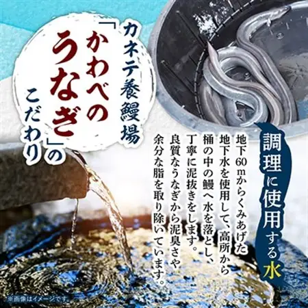 【産地直送】浜名湖産　うなぎ蒲焼 約150g×2尾[かわべのうなぎ][冷蔵]_うなぎ 鰻 浜名湖産 産地直送 美味しい_【配送不可地域：離島】【1389386】