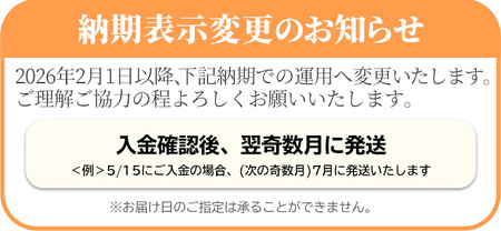 ＜数量限定＞箕面ビールお楽しみ6本セット(6種6本・各330ml) クラフトビール 地ビール ご当地ビール 季節限定 シーズナルビール 家飲み おうち飲み お試し ギフト プレゼント 金賞 おしゃれ 贈答用 銘柄　【m01-24】【箕面ビール】
