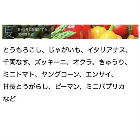 【毎月定期便】【下旬発送】こだわりの旬野菜BOX「リエビン」季節の野菜セット全12回【配送不可地域：離島・沖縄県】【4012347】