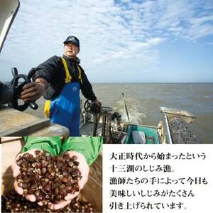 青森県 十三湖産 冷凍しじみ （中粒） 約1.2kg 【小野や】 F6N-093