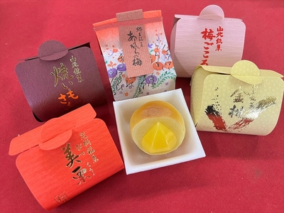 松月堂菓子舗手づくり　詰め合わせA　（20個入り）【 和菓子 詰め合わせ 手作り 銘菓 ギフト 栗 金柑 梅 神奈川県 山北町 】