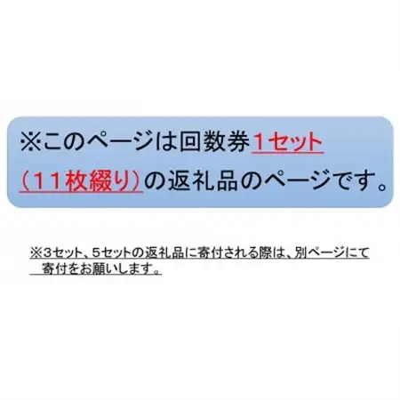 新居弁天海釣公園★駐車場回数券 1セット(11枚綴)_旅行券・チケット   _【1450305】