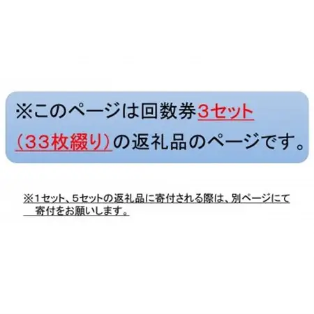 新居弁天海釣公園★駐車場回数券 3セット(33枚綴)_旅行券・チケット   _【1450320】