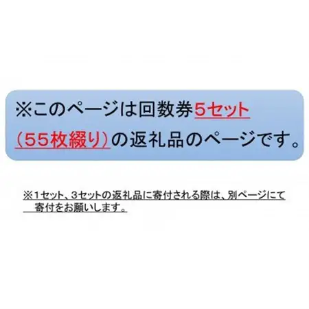 新居弁天海釣公園★駐車場回数券 5セット(55枚綴)_旅行券・チケット   _【1450333】