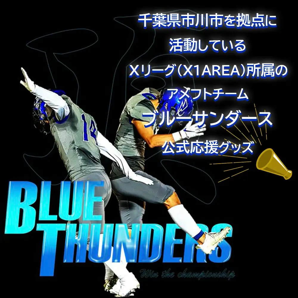 ブルーサンダース プルオーバーパーカー＜カラー：ブルー／サイズ：M＞　【12203-0202】