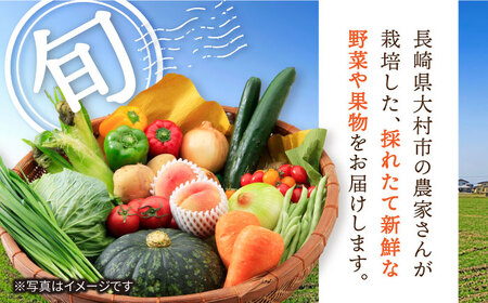 【5回定期便】旬の農産物 ぶどうコース / 野菜 やさい 果物 くだもの フルーツ ふるーつ 産地直送 ぶどう 葡萄 ブドウ フルーツ定期便 / 大村市 / おおむら夢ファームシュシュ[ACAA120]