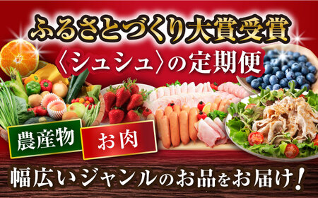 【12回定期便】豚肉＆旬の農産物 ブルーベリーコース（ 豚肉 いちご ハムセット 野菜 果物 ブルーベリー みかん お米 ）/ 便利な定期便 バラエティ定期便 バラエティ / 大村市 / おおむら夢ファームシュシュ[ACAA124]