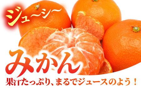 【先行予約】【6回定期便】品種おまかせ みかん・ぶどう 定期便【合同会社 社方園】[ZBZ025]