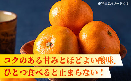 【先行予約】【2回定期便】【訳あり】家庭用 みかん 約5kg 詰め合わせ 柑橘【合同会社 社方園】[ZBZ034]