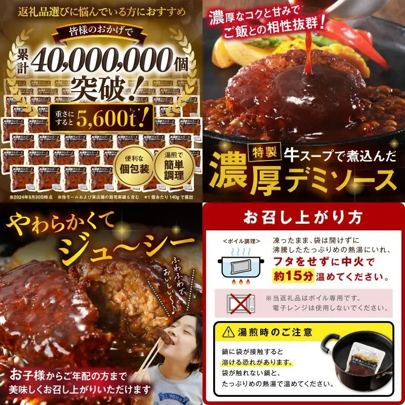鉄板焼ハンバーグ デミソース 10個【A-848】