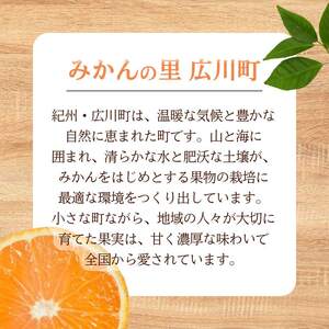 ゆら早生みかん 5kg（2S～Lサイズ） ※2026年11月上旬～12月上旬に順次発送予定 【tkn004-r-5B】