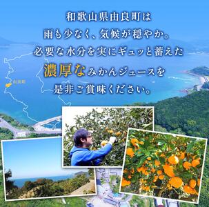 無添加 ストレート果汁！ みかんジュース 1L×2本【fmlb019】