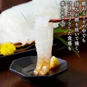 【先行予約 2026年6月以降発送】山陰直送 刺身用白イカ 700g（3～6杯）　※北海道、沖縄、一部離島への配送不可 |剣先イカ