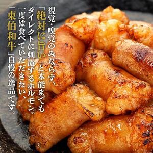牛肉 黒毛和牛 ホルモン 丸腸(マルチョウ) 500g|ホルモン