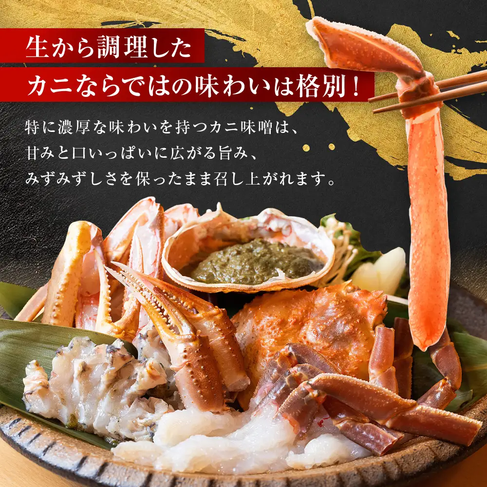 【先行予約】松葉ガニ ブランド タグ付き 生 1枚 800g 以上 年明け 配送 松葉がに