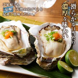【先行予約 2026年6月以降発送】 天然 岩ガキ ( 夏輝 ) 7 枚 岩ガキ