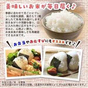 【定期便】3kg×12ヶ月　五ツ星お米マイスター特選米（鳥取県産）