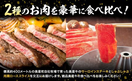【6ヶ月定期便】美星牛 定期便 ハレノヒ良品 牛肉