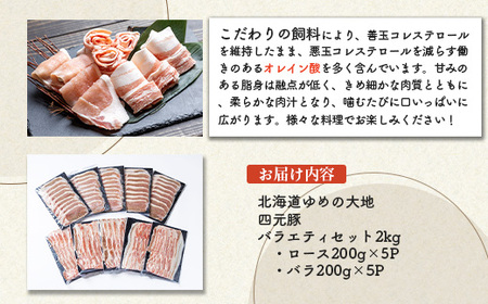 【北海道ブランド豚】「ゆめの大地」 バラエティセット（ロース200g×5P・バラ200g×5P）【27009】