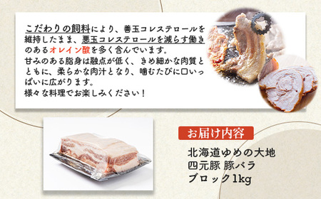 【北海道ブランド豚】「ゆめの大地」 豚バラブロック 1kg【27008】