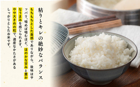 【レビューキャンペーン】青天の霹靂5kg【青森県 平川市 JA津軽みらい】 米 お米 精米 青森県産 産地直送 おにぎり 朝ご飯 冷めてもおいしい ご飯  コメ こめ 白米 ごはん ブランド米 特A 特A米 お取り寄せ グルメ [hi-0002-001]