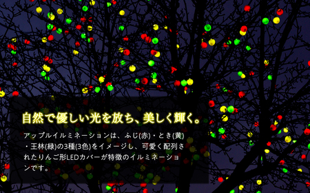 【レビューキャンペーン】アップルイルミネーション （ コントローラ付き・コード2m×3個 ） 【 LED 】[hi-0021-004]