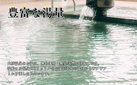 【レビューキャンペーン】大坊温泉 入浴券12枚綴り1冊　【 チケット 温泉利用券 癒し リラックス ストレス 源泉かけ流し 湯舟 透明 風邪引かず 評判 サウナ 入浴 】[hi-0037-001]