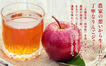 【レビューキャンペーン】田中農園 100年の歴史 蜜星ジュース 1L×3本 林檎 林檎ジュース フルーツ 果物 アップル 青森県 平川市 平川市産 お取り寄せ 果汁 100% リンゴジュース ジュース 贈答 オリジナル ミックス[hi-0039-002]