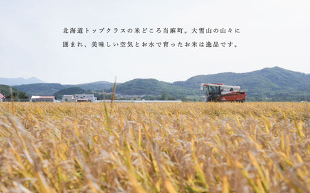 精米 ゆきさやか 150g 北海道米 こめ 1000円台 2000円 3000円 当麻町 長谷川農園 北海道産 北海道米【B-017】