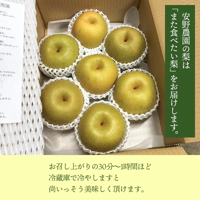 【令和8年産先行予約】「恋する甘さ！」こだわりの和梨　幸水か豊水 秀品3kg(5～10玉)　山形県鶴岡産　安野農園