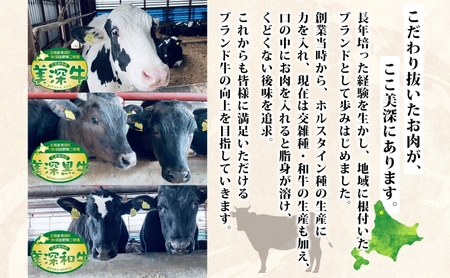 美深町 肉のはたのハンバーグ 20個 3kg 150g×20 冷凍 ギフト 詰め合わせ 和牛 牛肉 お弁当 ランチ 昼食 夕食 おかず 総菜 バーベキュー ハンドメイド 手作り 美深黒牛 ブランド 霜降り 団らん昼食 ランチ ディナー 夜食 御馳走 満足 簡単 焼くだけ