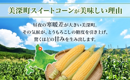 とうもろこし 20本 スイートコーン トウモロコシ コーン 甘い 採れたて 朝採り 野菜 旬の野菜 農作物 お取り寄せ 北海道産 産地直送 北海道 美深町 お届け：2026年8月3日～2026年8月28日