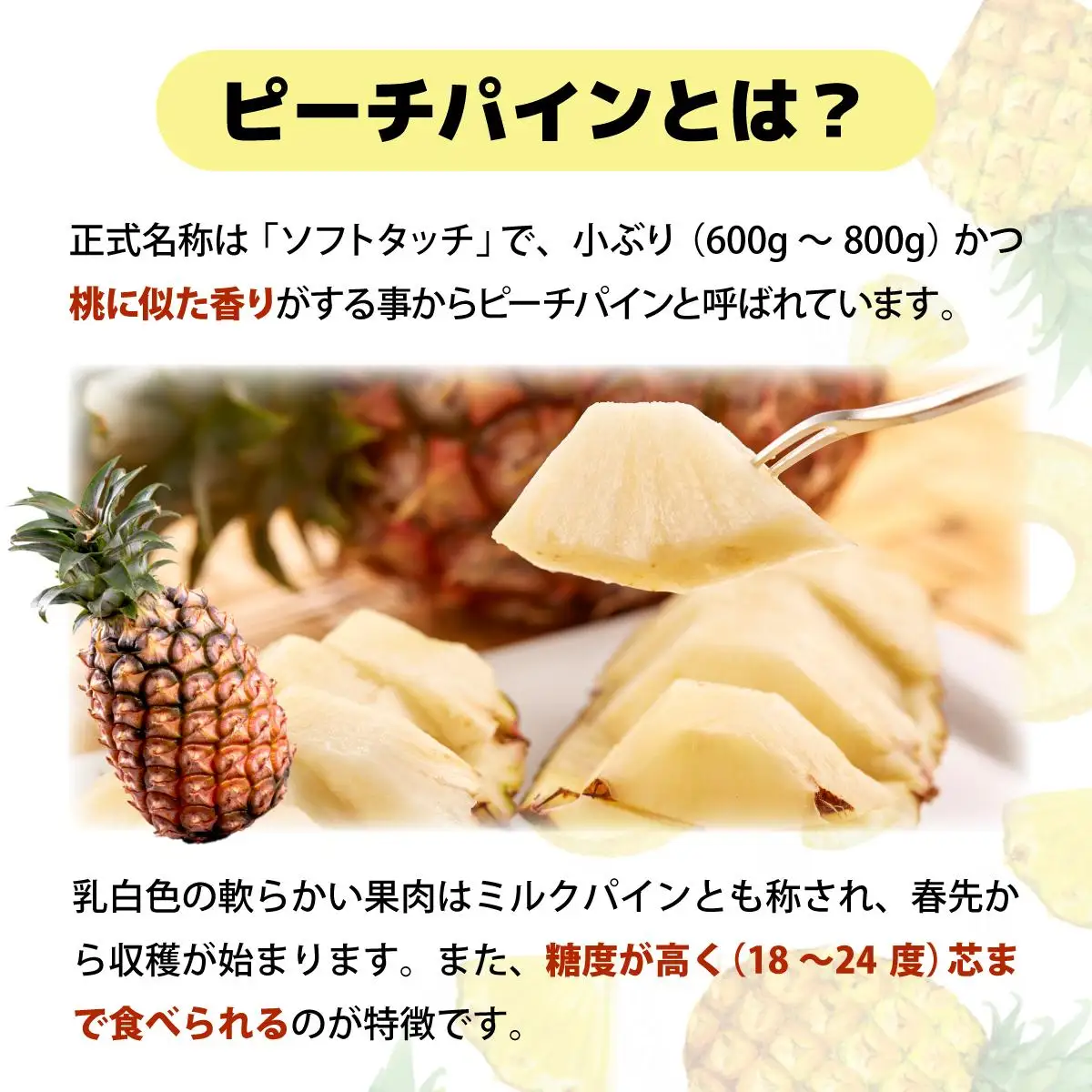 西表パイン園の蜜入り ピーチパイン 2kgセット
