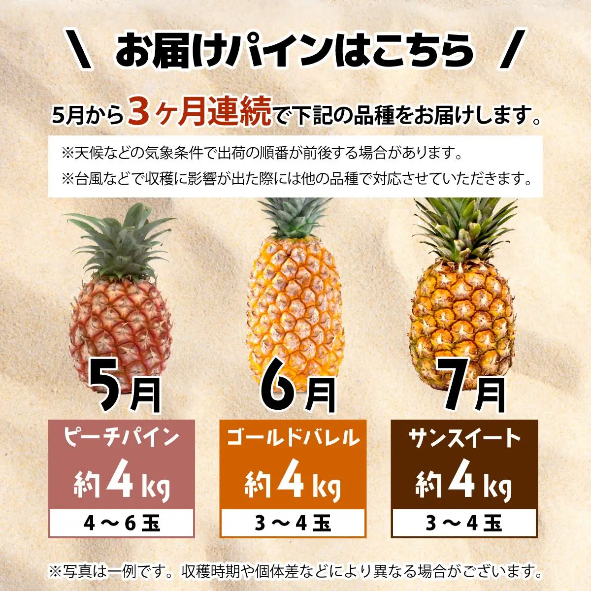 【（全3回発送）】南国の美味しさを！パイナップル 定期便 B